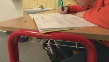 Má byť slovenčina v českých školách? Rada Európy žiada zmenu