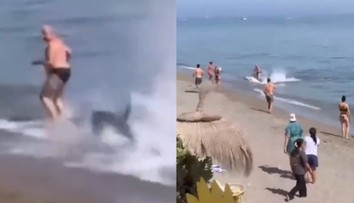 VIDEO: Obrovská ryba sa „valila“ na pláž v obľúbenom španielskom letovisku. Nečakaný návštevník zbudil rozruch