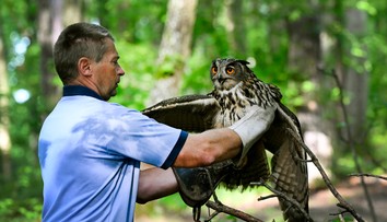 Slovensko má ôsmy zápis v nehmotnom kultúrnom dedičstve UNESCO