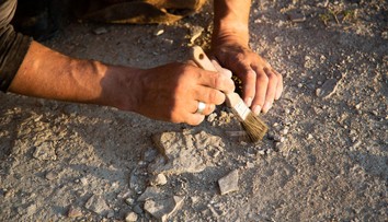 Vedci zrekonštruovali podobu najstaršieho známeho predka človeka. Štvoroké čudo objavili v Číne