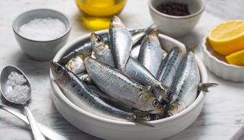 Jediná zmena v jedálničku dokáže ovplyvniť život. Vedci hovoria, ktoré tri ryby môžu zachrániť státisíce ľudí