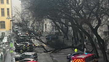 FOTO: V centre Bratislavy spadol obrovský strom. Zablokoval ulicu a poškodil autá