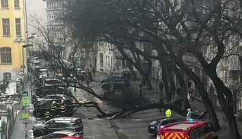 FOTO: V centre Bratislavy spadol obrovský strom. Zablokoval ulicu a poškodil autá