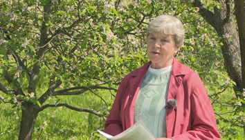 Dôchodkyňa doplatila na dieru v chodníku. Má trvalé následky, no odškodnenie je v nedohľadne