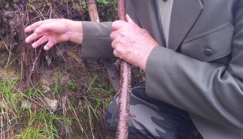 Svet je hore nohami. Keď uvidíte túto hubu, tak pochopíte