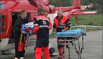 Pes v Palárikove vážne dohrýzol dvojročné dieťa na zátylku. Priviedla ho návšteva