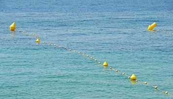 Pozor na tieto veci v mori na Jadrane: Chorváti varujú turistov, aby sa ich nedotýkali