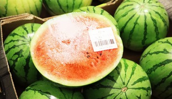 Takýto určite jedia aj mnohí z vás. Bývalá predavačka radí, aký melón si nikdy nekupujte