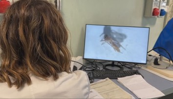 V obľúbenej destinácii sa šíri nebezpečná nákaza. Ochorenie sa objavilo už aj na Slovensku