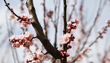 Počasie na Veľkú noc: Teploty sa vyšplhajú poriadne vysoko