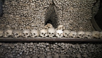 Najväčšia pandémia, akú svet zažil. Veci zistili, že Čiernu smrť spustila udalosť, o ktorej Európania ani netušili