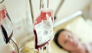 Rozhodnú najbližšie dva týždne. Kritický nedostatok dvoch krvných skupín v transfúznych staniciach