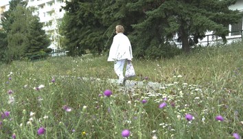 Zvuk kosačiek sa z miest vytráca. Kosí sa inak a menej, dôvodov je viacero