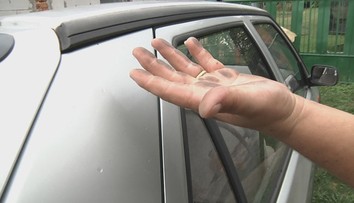 Ľudí pri Vranove vyľakal popolček. Mali ho všade