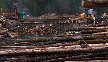Ekologická katastrofa, aká nemá obdobu. Na vine je lykožrút, Takáč a Huliak podávajú trestné oznámenie