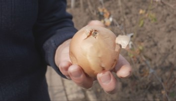 Predpovede o tuhej zime potvrdila aj stará pranostika. Naši meteorológovia nechcú robiť predčasné závery