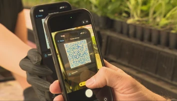 Dá sa platiť kartou alebo cez QR kód skutočne všade? V niektorých situáciách sa bez hotovosti nezaobídete