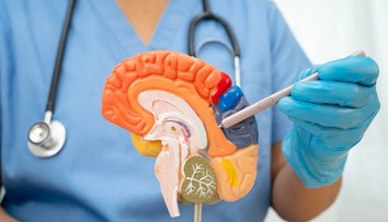 Jeden drobný zlozvyk môže mať vážne následky. Vedci varujú pred rizikom demencie