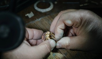 Vietnamka omylom vyhodila diamantový prsteň za desaťtisíce eur. Smetiari ho našli v 11 tonách odpadu