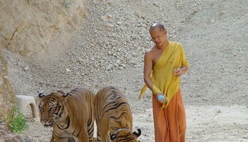 Jedna z najväčších atrakcií Thajska čelí nevídanému škandálu