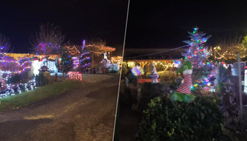 VIDEO: Slovenské Las Vegas. Tibor z juhu Slovenska sa pýši bohatou vianočnou výzdobou, domá má ešte jeden skrytý poklad