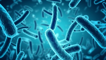 Európou sa šíri smrtiaci vírus. Liečba zatiaľ neexistuje