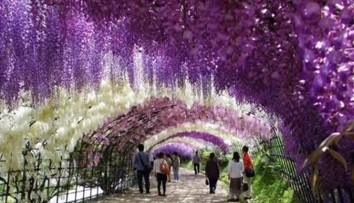 Najčarovnejšie miesto na svete? Prechádzka na tomto mieste musí ohúriť každého