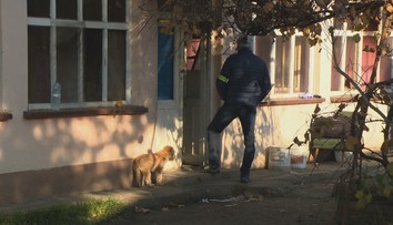 Prípad starenky, ktorú našli pohryzenú od potkanov: Psík z jej domu má obrovské šťastie