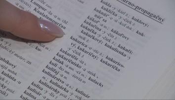 Slovo roka 2025 je vo svete jasné, ale slovenskí jazykovedci majú úplne iný tip. Prekvapí vás?