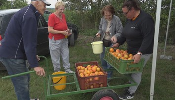 Domácej pálenky bude tento rok oveľa menej. Môže za to počasie