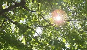 Leto ešte nepovedalo posledné slovo. Nedeľné počasie poteší mnohých Slovákov