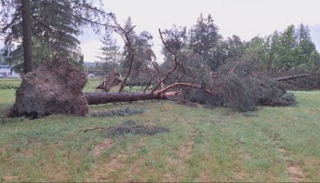 Takmer 200 zničených stromov. Kalamitu v areáli múzea vo Svidníku odstránia vojenskí lesníci