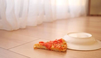 Spadlo vám jedlo na zem? Vedci zistili, či sa dá veriť pravidlu piatich sekúnd
