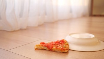 Spadlo vám jedlo na zem? Vedci zistili, či sa dá veriť pravidlu piatich sekúnd
