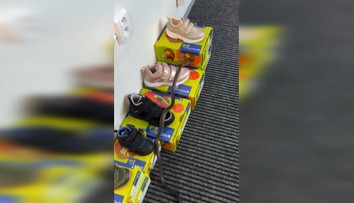 VIDEO: Medzi krabicami v obchode sa plazil had. Hasič ho naháňal po celej predajni