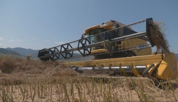 Ceny extrémne vystrelili, potraviny budú drahšie. Farmári oznámili, kedy to zasiahne Slovákov