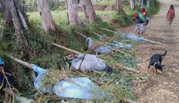 Hrozný masaker v Oceánii: Útočníci rozsekali aj tehotné ženy a deti