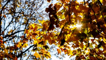 Pripravte sa na extrémne vysoké teploty. Budú až 10 °C nad normálnymi hodnotami na Slovensku