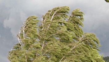 Mohutný orkán sa blíži. Slovensko čaká extrémny vietor, SHMÚ vydáva výstrahy