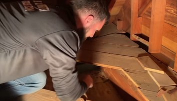 VIDEO: Majiteľke domu nedal spávať chýr o ukrytých peniazoch. Slušnú sumu našiel lovec pokladov