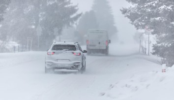 FOTO a VIDEO: Slovensko čelí veternej smršti: Popadané stromy a domácnosti bez elektriny