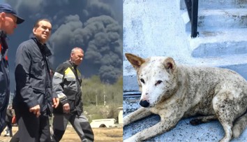 Apokalypsa v Rusku: Vtáky padajú mŕtve, na státisíce ľudí prší toxický „čierny dážď“, valí sa aj k Putinovmu palácu