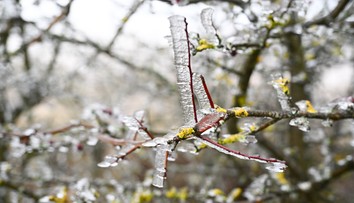 Na Slovensko sa valí prudká zima. Zažijeme mimoriadny pokles teplôt, pozor na veľký mráz