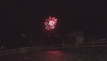 Ohňostroje si niektorí neodpustili ani v národných parkoch. Lesnú zver to môže aj zabiť