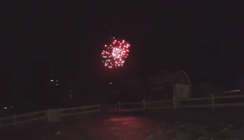 Ohňostroje si niektorí neodpustili ani v národných parkoch. Lesnú zver to môže aj zabiť