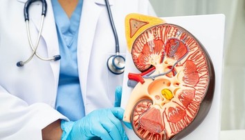 Na Slovensku pribúda rakovina obličiek. Pacienti si všimnú jeden varovný príznak