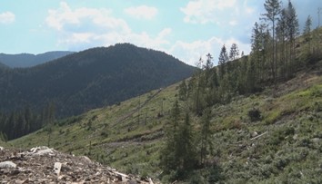 Lesníci a ochranári na Slovensku nespolupracujú. Napätie vystupňovala nová kampaň