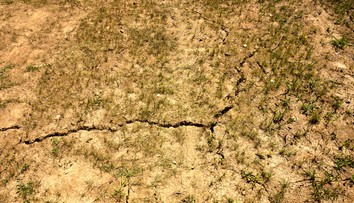 Časť Slovenska postihuje extrémne sucho. Tieto oblasti sú na tom najhoršie