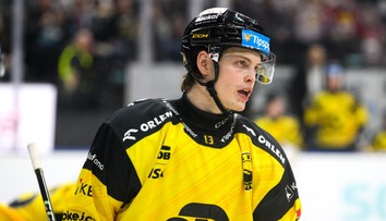 Neprimeraná reakcia rozhodcu smerom k slovenskému reprezentantovi má dohru. Arbiter dostal trest