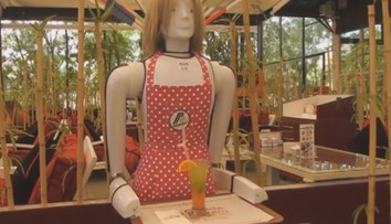 Ľudia majú vážnu konkurenciu, čašníkov a sprievodcov nahrádzajú humanoidi